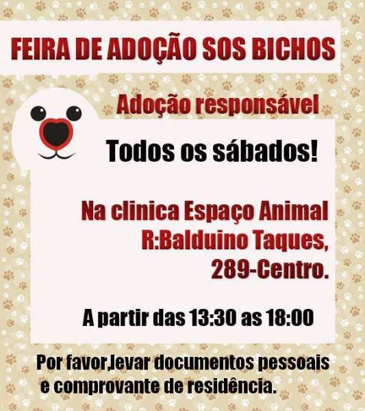 Feira e evento de adoção de cachorros e gatos - Feira de Adoção em Ponta Grossa: Encontre Seu Novo Amigo! em Paraná - Ponta Grossa