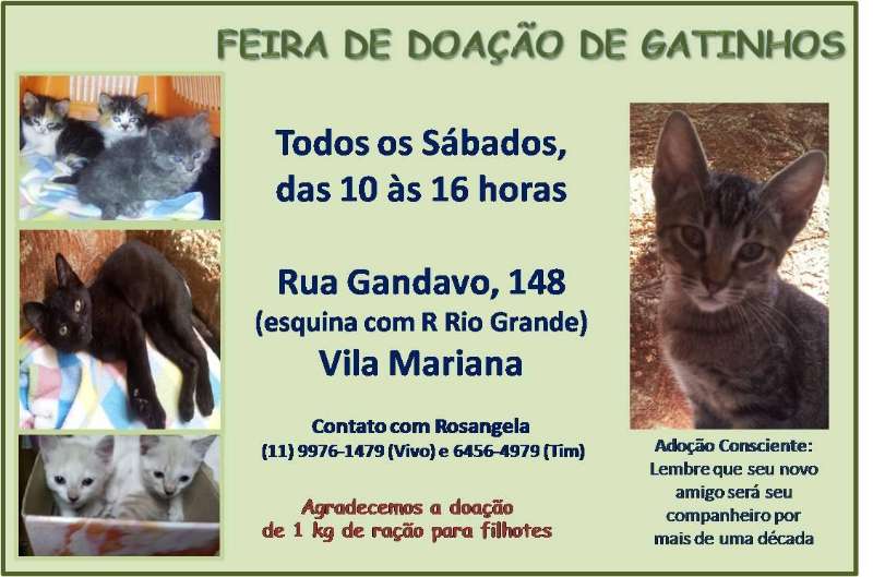 Feira e evento de adoção de cachorros e gatos - Feira de Adoção de Gatinhos na Vila Mariana - Encontre seu Novo Amigo! em São Paulo - São Paulo