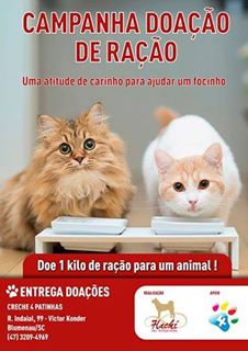 Feira e evento de adoção de cachorros e gatos - Amor Animal em Blumenau: Grande Evento de Adoção e Doação! em Santa Catarina - Blumenau