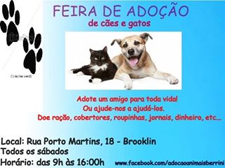 Feira e evento de adoção de cachorros e gatos - Amor e Alegria Esperam por Você na Feira de Adoção Animal! em São Paulo - São Paulo