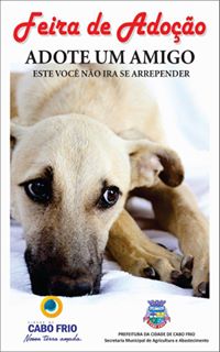 Feira e evento de adoção de cachorros e gatos - Feira de Adoção em Cabo Frio: Encontre seu Melhor Amigo! em Rio de Janeiro - Cabo Frio
