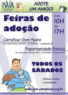Feira e evento de adoção de cachorros e gatos - Feira de Adoção de Animais em Campinas: Encontre seu Novo Amigo! em São Paulo - Campinas