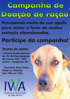 Feira e evento de adoção de cachorros e gatos - Campanha de Adoção de Animais em Campinas: Um Lar para Cada Coração! em São Paulo - Campinas