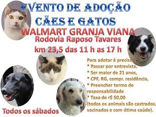 Feira e evento de adoção de cachorros e gatos - Amor e Lealdade te Esperam no Evento de Adoção em Cotia! em São Paulo - Cotia