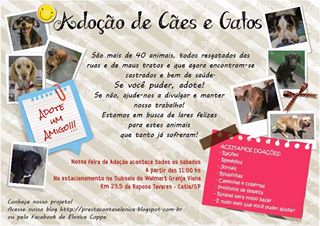 Feira e evento de adoção de cachorros e gatos - Feira de Adoção em Cotia: Encontre seu Novo Melhor Amigo! em São Paulo - Cotia