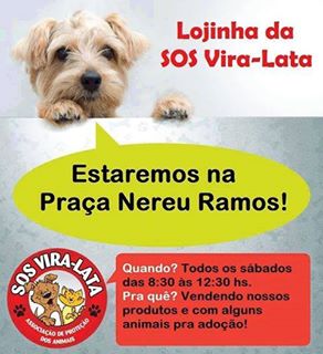 Feira e evento de adoção de cachorros e gatos - Feira de Adoção de Animais SOS Vira-Lata: Encontre Seu Novo Melhor Amigo! em Santa Catarina - Criciúma