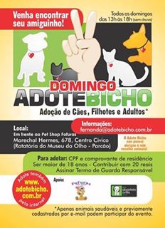 Eventos de adoção de cachorros e gatos - Domingo é Dia de Encontrar um Novo Amigo! Adote um Pet em Curitiba em PR - Curitiba