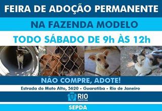 Feira e evento de adoção de cachorros e gatos - Feira Permanente de Adoção de Animais - Um Novo Amigo Espera por Você! em Rio de Janeiro - Rio de Janeiro