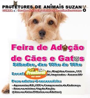 Feira e evento de adoção de cachorros e gatos - Feira de Adoção de Cães e Gatos em Suzano - Uma nova chance para amar! em São Paulo - Suzano