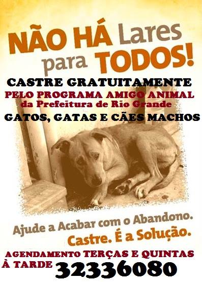 Feira e evento de adoção de cachorros e gatos - Laços para Toda Vida: Feira de Adoção Animal em Rio Grande em Rio Grande do Sul - Rio Grande