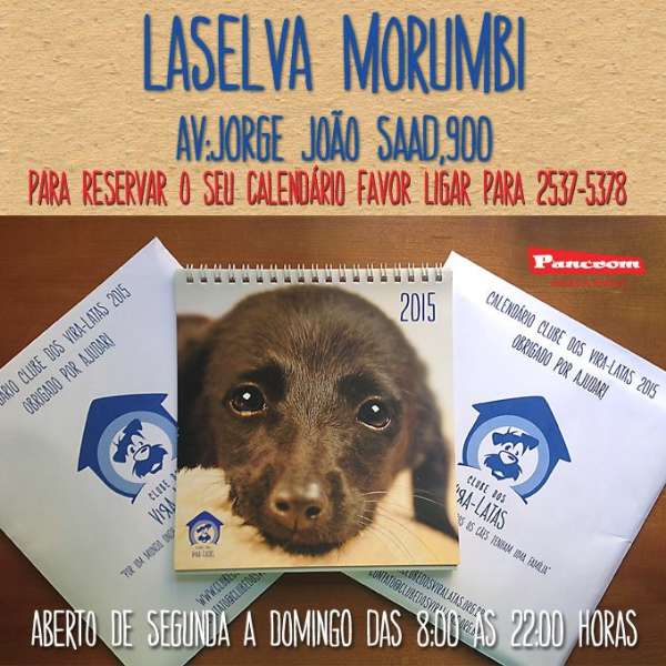 Feira e evento de adoção de cachorros e gatos - Feira de Adoção de Animais em SP: Encontre Seu Novo Melhor Amigo! em São Paulo - São Paulo
