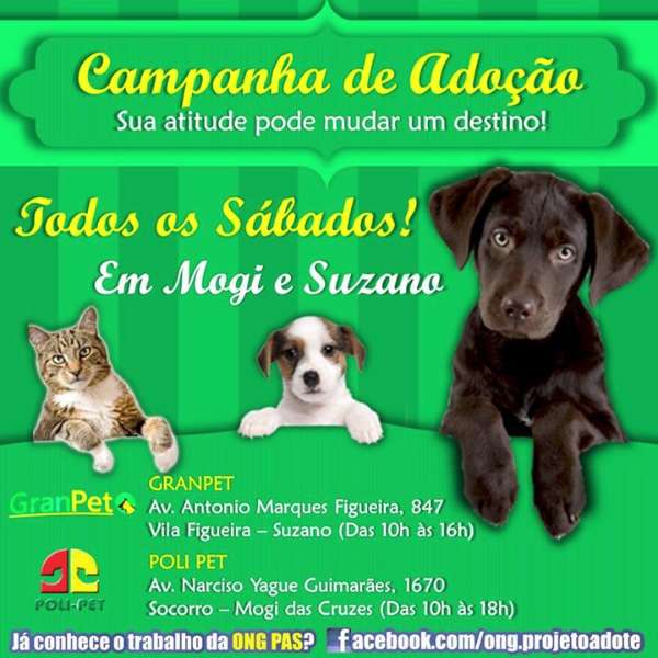 Feira e evento de adoção de cachorros e gatos - Encontre seu Novo Amigo no Dia de Adoção em Suzano! em São Paulo - Suzano