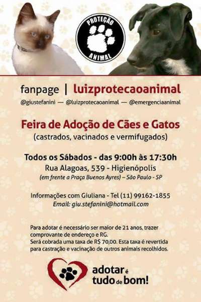 Feira e evento de adoção de cachorros e gatos - Amor Incondicional Espera por Você na Feira de Adoção de SP! em São Paulo - São Paulo