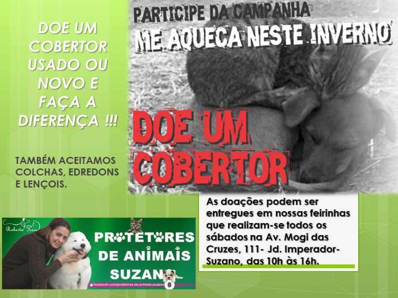 Feira e evento de adoção de cachorros e gatos - Aqueça um Coração Pet: Grande Feira de Adoção em Suzano! em São Paulo - Suzano