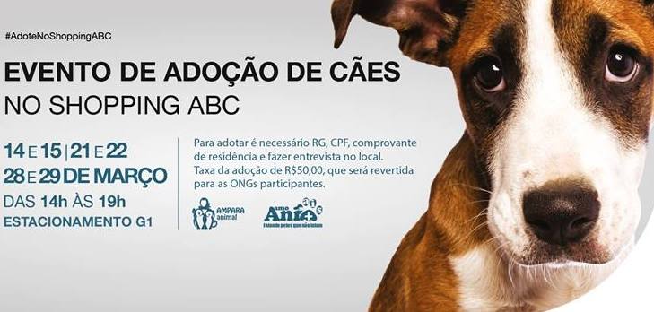 Feira e evento de adoção de cachorros e gatos - Feira de Adoção de Cães Aquece Corações em Santo André! em São Paulo - Santo André