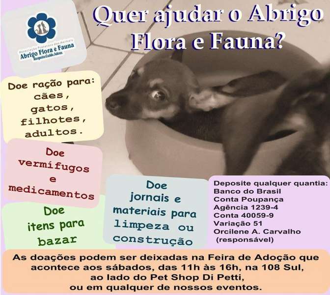 Feira e evento de adoção de cachorros e gatos - Feira de Adoção de Animais: A Esperança de um Novo Lar em DF em Distrito Federal - Brasília