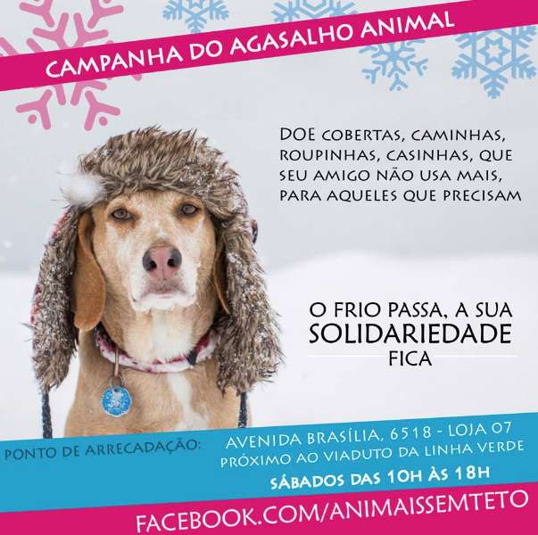 Feira e evento de adoção de cachorros e gatos - Encontre seu Novo Melhor Amigo: Adote com Amor em Curitiba! em Paraná - Curitiba