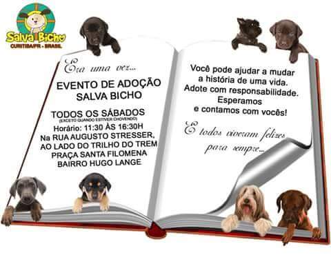 Feira e evento de adoção de cachorros e gatos - Encontro de Corações – Adote um Amigo no Evento SALVA BICHO em Paraná - Curitiba