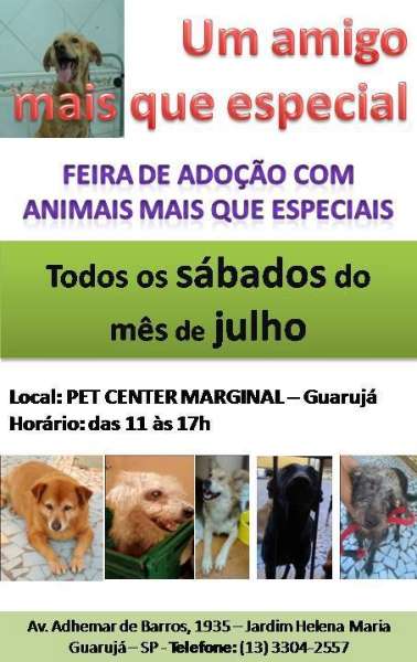 Feira e evento de adoção de cachorros e gatos - Encontre o Novo Membro da Família na Feira de Adoção em Guarujá! em São Paulo - Guarujá
