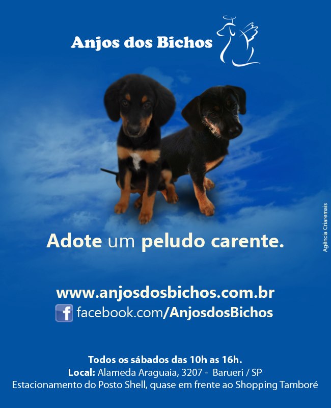 Feira e evento de adoção de cachorros e gatos - Feira de Adoção Anjos dos Bichos – Encontre Seu Novo Amigo! em São Paulo - Barueri