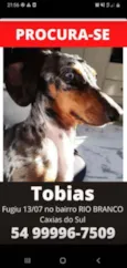 Tobias