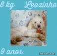 Leozinho 