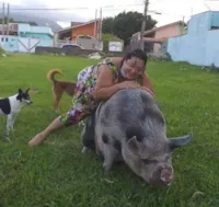 Mulher compra mini porco em SP e o porquinho vira 'princesa' com 250 kg: 'Querem comer ela'