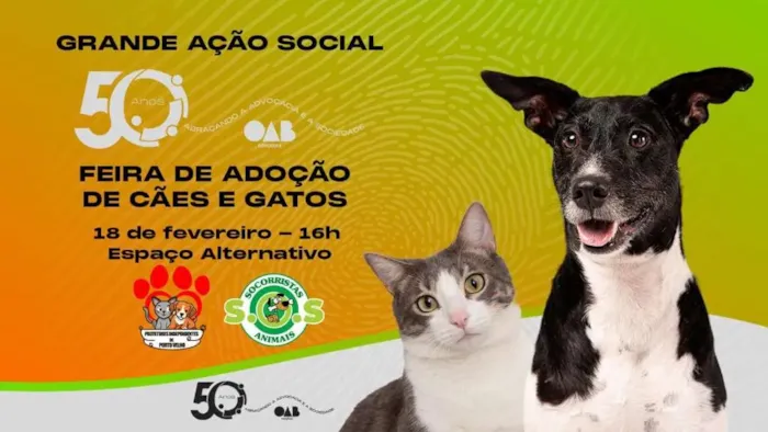 Feira de Adoção de Animais: Encontre Seu Novo Amigo em Porto Velho!