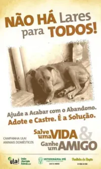 CASTRE GRATUITAMENTE seu Cão e Gato no Rio de Janeiro