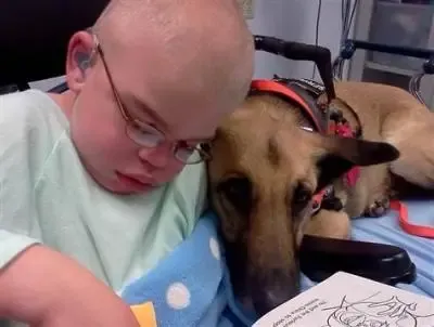 Cão que seria eutanasiado em abrigo é adotado e salva a vida de garoto doente