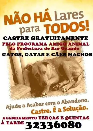 Laços para Toda Vida: Feira de Adoção Animal em Rio Grande