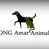  ONG Amar Animal 