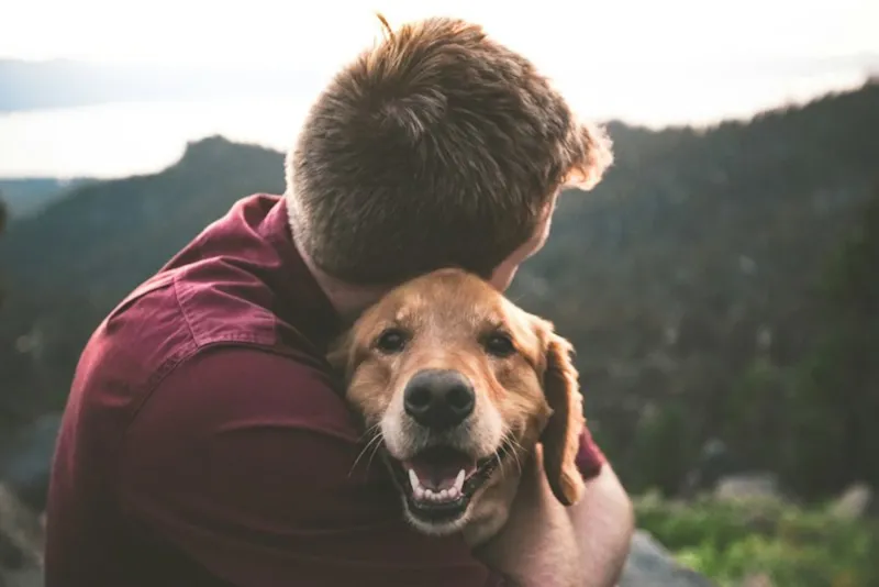 Homem abraçando um cachorro dourado ao ar livre, ilustrando o vínculo afetivo entre pessoas e pets