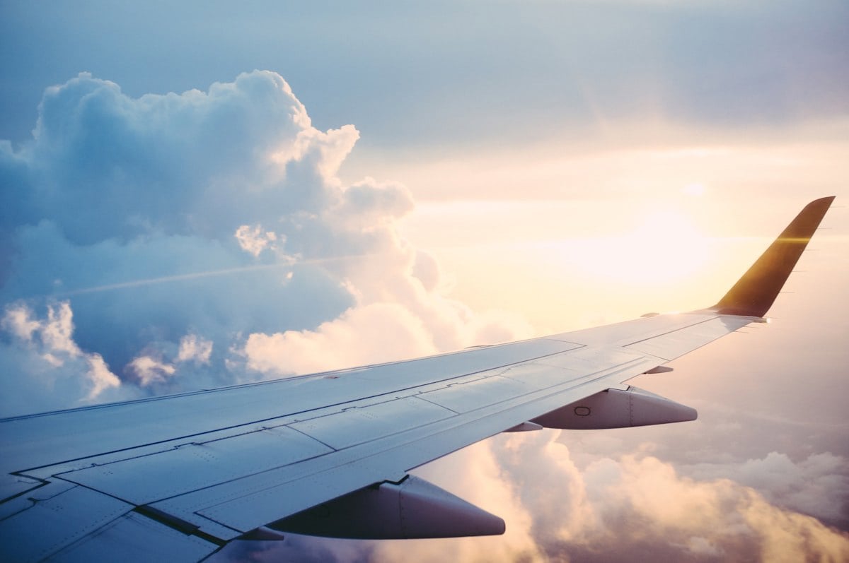 Avião em voo — transporte aéreo de pets no Brasil