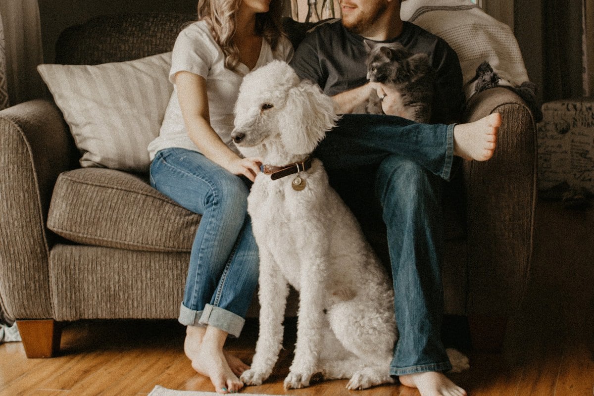Casal sentado no sofa com um cachorro