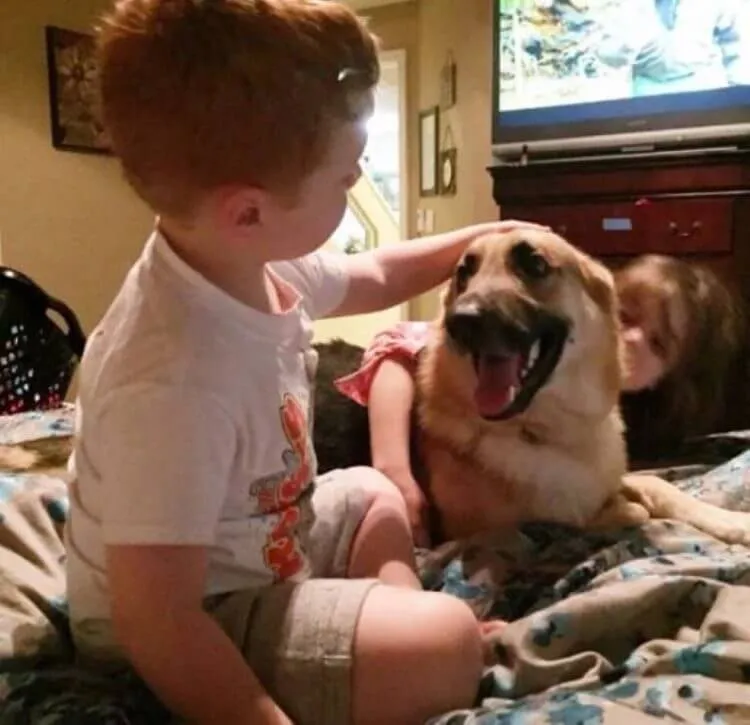 Cachorro salva menina de ataque de cobra cascavel na Flórida | Foto 5