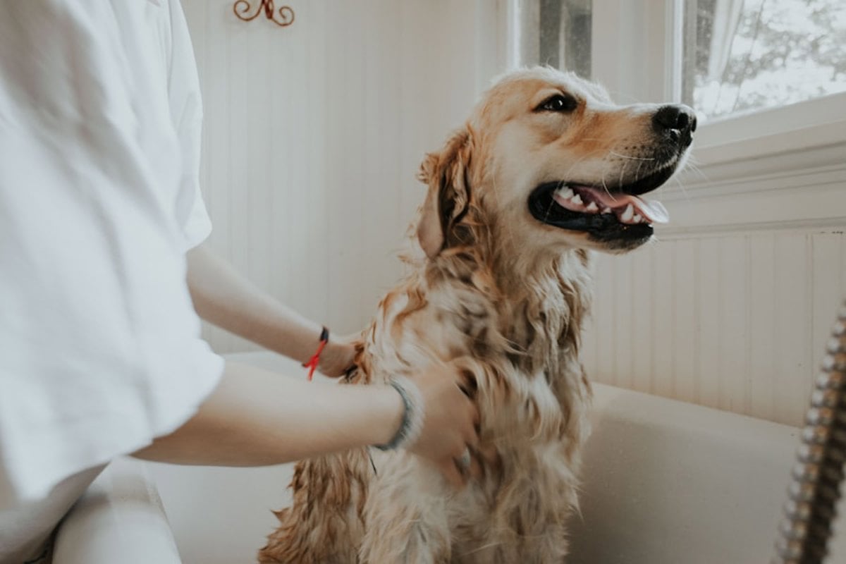 Mulher sorrindo enquanto abraça seu cachorro