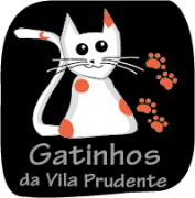 Gatinhos da Vila Prudente | ONG/Protetor de adoção e doação de cachorros e gatos