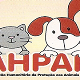 AHPAR - Associação Humanitária de Proteção aos Animais de Rua