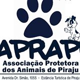 APRAPI - Associação Protetora dos Animais de Piraju | ONG/Protetor de adoção e doação de cachorros e gatos