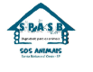 SPASB - Sociedade Protetora dos Animais de Santa Bárbara - Santa Bárbara d`Oeste