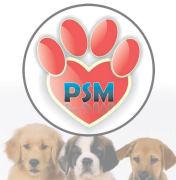 PSM - Pedido de Socorro Muriaé | ONG/Protetor de adoção e doação de cachorros e gatos