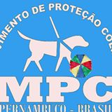 MPColina – Movimento de Proteção Colina