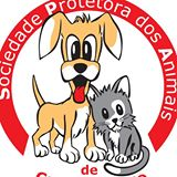 Sociedade Protetora dos Animais de Campo Largo | ONG/Protetor de adoção e doação de cachorros e gatos