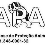 Audoção CÃES E GATOS | ONG/Protetor de adoção e doação de cachorros e gatos