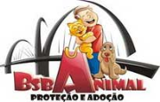 BsbAnimal  | ONG/Protetor de adoção e doação de cachorros e gatos