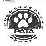Pata Guabiruba | ONG/Protetor de adoção e doação de cachorros e gatos