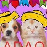ADAO - Associação Defensora dos Animais de Ourinhos | ONG/Protetor de adoção e doação de cachorros e gatos