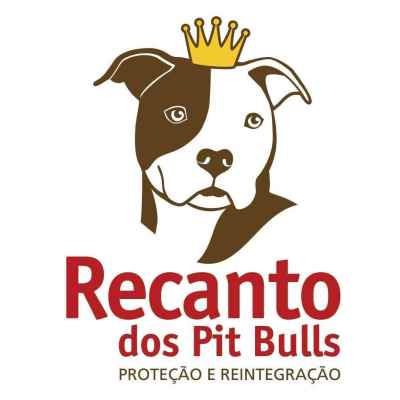 Recanto dos Pit Bulls | ONG/Protetor de adoção e doação de cachorros e gatos
