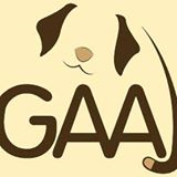 Gaaj Jacareí | ONG/Protetor de adoção e doação de cachorros e gatos